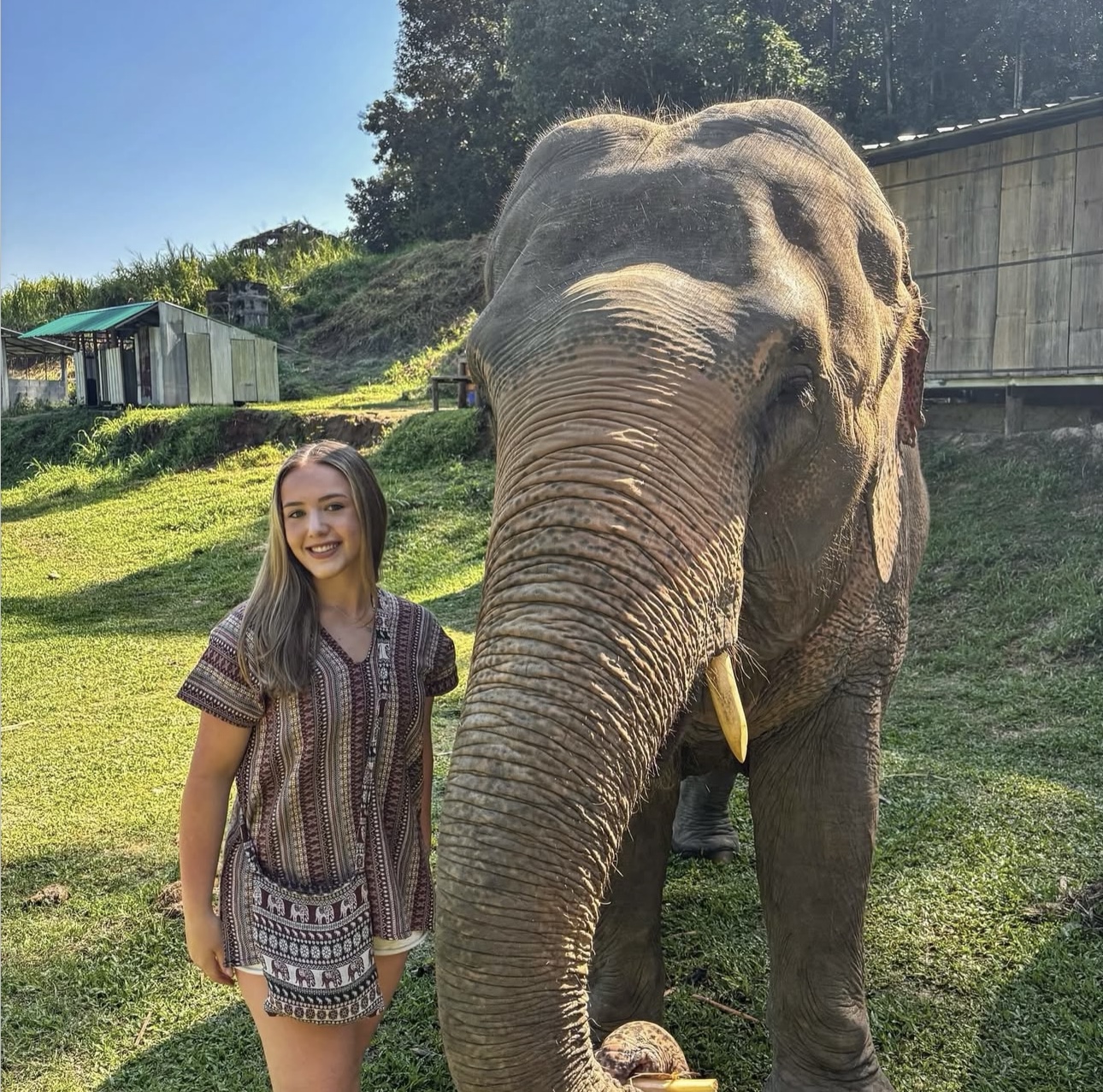 Picture with Elephant