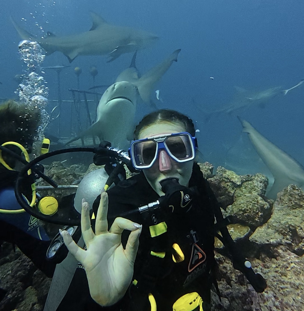 Picture Scuba Diving